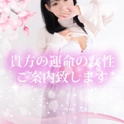 【統括MGが厳選！】夜のオススメシンデレラ♪